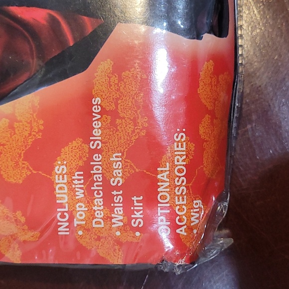 DRAGON MISS Costume - Picture 2 of 6